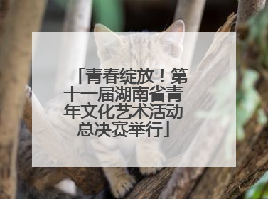 青春绽放！第十一届湖南省青年文化艺术活动总决赛举行