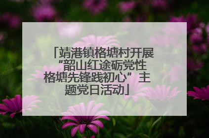 靖港镇格塘村开展“韶山红途砺党性 格塘先锋践初心”主题党日活动