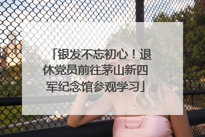 银发不忘初心！退休党员前往茅山新四军纪念馆参观学习