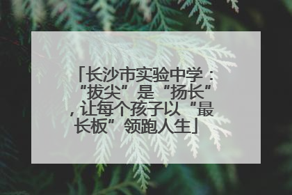 长沙市实验中学：“拔尖”是“扬长”，让每个孩子以“最长板”领跑人生