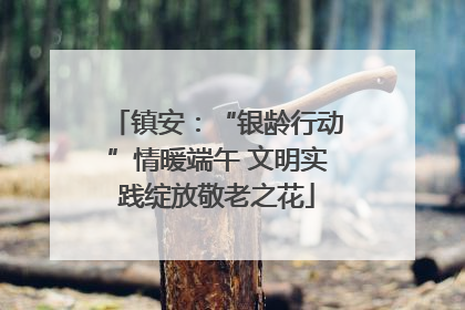 镇安：“银龄行动”情暖端午 文明实践绽放敬老之花