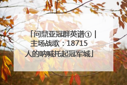 问鼎亚冠群英谱①｜主场战歌：18715人的呐喊托起冠军城