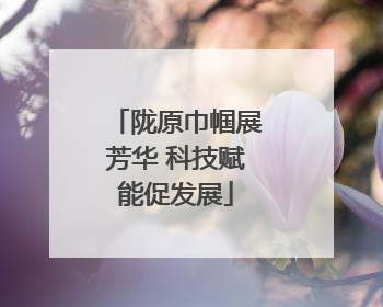 陇原巾帼展芳华 科技赋能促发展