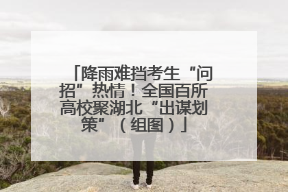 降雨难挡考生“问招”热情！全国百所高校聚湖北“出谋划策”（组图）
