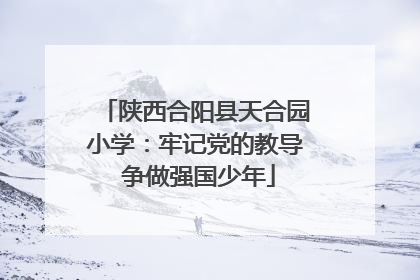 陕西合阳县天合园小学：牢记党的教导 争做强国少年