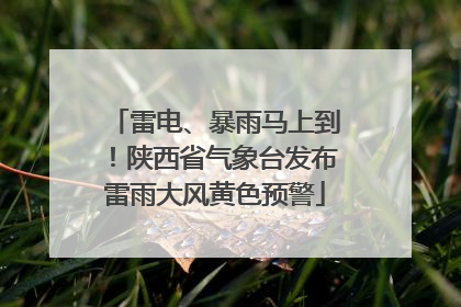 雷电、暴雨马上到！陕西省气象台发布雷雨大风黄色预警