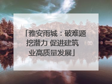 雅安雨城：破难题 挖潜力 促进建筑业高质量发展