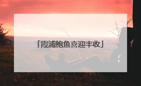 霞浦鲍鱼喜迎丰收