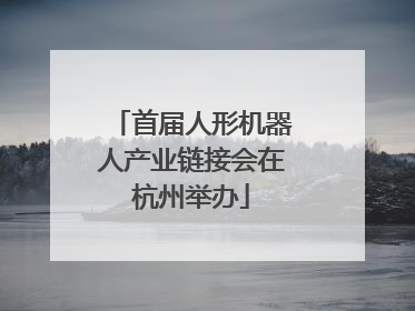 首届人形机器人产业链接会在杭州举办