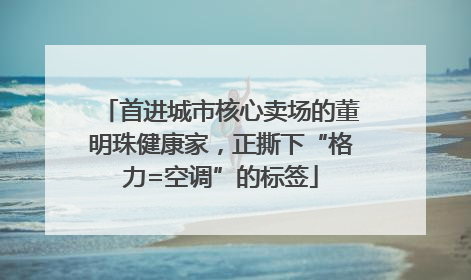 首进城市核心卖场的董明珠健康家，正撕下“格力=空调”的标签