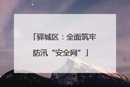 驿城区：全面筑牢防汛“安全网”