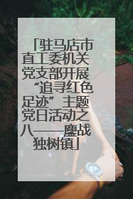 驻马店市直工委机关党支部开展“追寻红色足迹”主题党日活动之八——鏖战独树镇