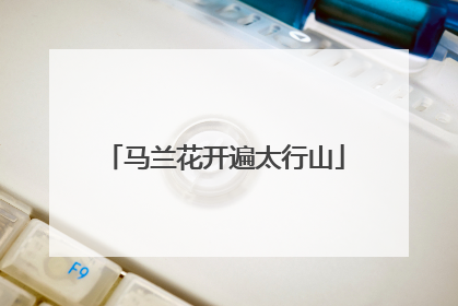 马兰花开遍太行山
