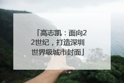 高志凯：面向22世纪，打造深圳世界级城市封面