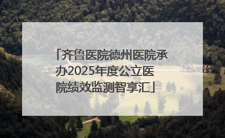 齐鲁医院德州医院承办2025年度公立医院绩效监测智享汇