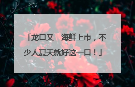 龙口又一海鲜上市，不少人夏天就好这一口！