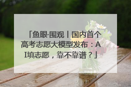 鱼眼·围观丨国内首个高考志愿大模型发布：AI填志愿，靠不靠谱？