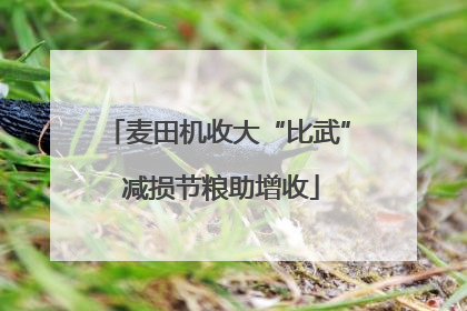 麦田机收大“比武” 减损节粮助增收