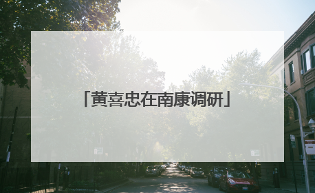 黄喜忠在南康调研