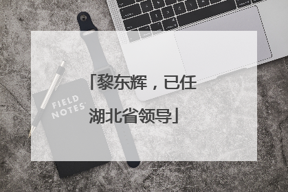 黎东辉，已任湖北省领导
