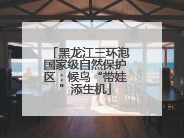 黑龙江三环泡国家级自然保护区：候鸟“带娃”添生机