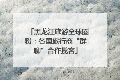 黑龙江旅游全球圈粉：各国旅行商“群聊”合作揽客