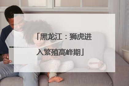 黑龙江：狮虎进入繁殖高峰期