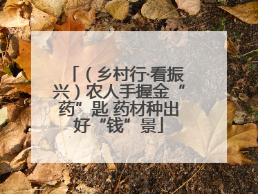 （乡村行·看振兴）农人手握金“药”匙 药材种出好“钱”景
