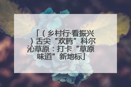 （乡村行·看振兴）舌尖“欢腾”科尔沁草原：打卡“草原味道”新地标