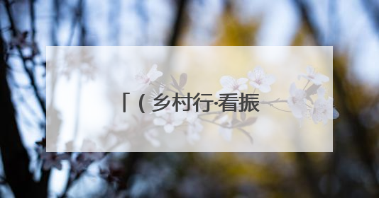 （乡村行·看振兴）荒沟变花海：内蒙古闲置地育出“花漾经济”