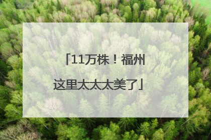 11万株！福州这里太太太美了