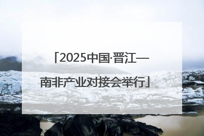 2025中国·晋江—南非产业对接会举行