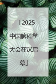 2025中国脑科学大会在汉启幕