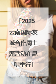 2025云南国际友城合作周主题活动在昆明举行