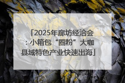 2025年廊坊经洽会：小箱包“圈粉”大咖 县域特色产业快速出海
