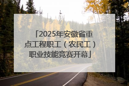 2025年安徽省重点工程职工（农民工）职业技能竞赛开幕