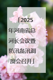 2025年河南省总河长会议暨防汛备汛调度会召开