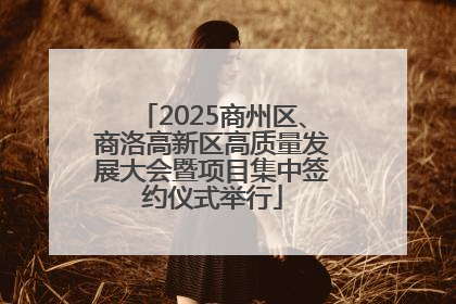2025商州区、商洛高新区高质量发展大会暨项目集中签约仪式举行
