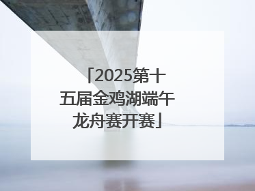2025第十五届金鸡湖端午龙舟赛开赛