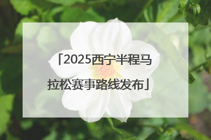 2025西宁半程马拉松赛事路线发布