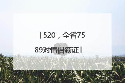 520，全省7589对情侣领证