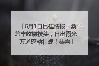 6月1日最佳情报｜桑葚丰收缀枝头，日出霞光万道蓬勃壮观！恭喜