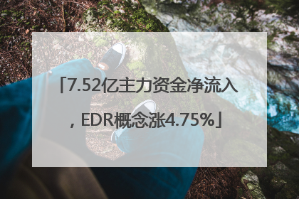 7.52亿主力资金净流入，EDR概念涨4.75%