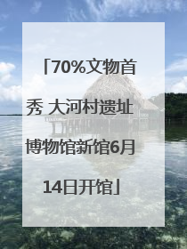 70%文物首秀 大河村遗址博物馆新馆6月14日开馆