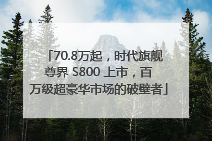 70.8万起，时代旗舰尊界 S800 上市，百万级超豪华市场的破壁者