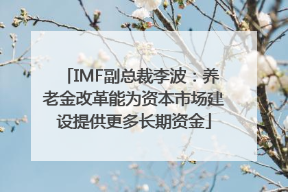 IMF副总裁李波：养老金改革能为资本市场建设提供更多长期资金